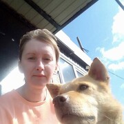 ���������� ��������, ������� �������, 41