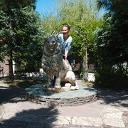 ���������� ���������, ���� ������� ����, 50 ���, ������������ ��� c�������� ���������