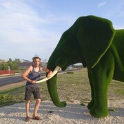  ,   , 47 ,   c 