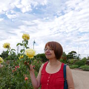 ���������� �����-���������, ���� ������� �����, 54 ����, ������������ ��� ����� � ���������, c�������� ���������