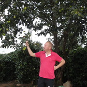  ,   , 40 ,   ,   , c 