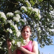 ���������� �������, ���� ������� �����, 41 ���, ������������ ��� ������, ����� � ���������, c�������� ���������