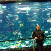  ,   , 59 ,   ,   , c 