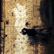 ���������� ������, ���� ������� ������������, 29 ���, ������������ ��� ����� � ���������, c�������� ���������