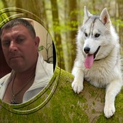 ���������� �����������, ���� ������� �������, 48 ���, ������������ 