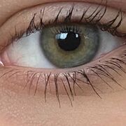 ���������� ��������, ���