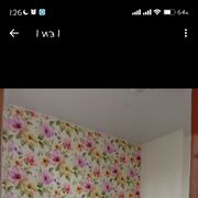  -,   , 22 ,   ,   