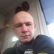  -,   Wolf, 41 ,   ,   , c 