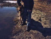 ���������� �������, ���� ������� �������, 47 ���, ������������ ��� ������, ����� � ���������, c�������� ���������