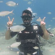 ���������� ������, ���� ������� UFUK, 31 ���, ������������ ��� ������, ����� � ���������