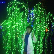 ���������� �����, ���� ������� �������, 37 ���, ������������ ��� ������, ����� � ���������, c�������� ���������