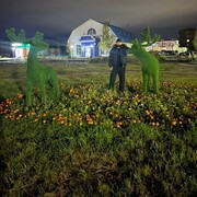 ���������� ����� �������, ���� ������� SHAMIL, 27 ���, ������������ ��� ������, ����� � ���������