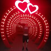 ���������� ���������, ���� ������� Pavel, 37 ���, ������������ ��� ������, ����� � ���������