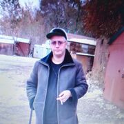 ���������� ����, ���� ������� ���������, 44 ����, ������������ ��� c�������� ���������