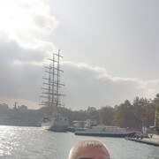 ���������� �����������, ���� ������� ���������, 46 ���, ������������ ��� ������, ����� � ���������, c�������� ���������