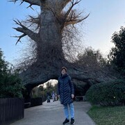 ���������� ���������, ���� ������� ����, 67 ���, ������������ ��� ������, ����� � ���������