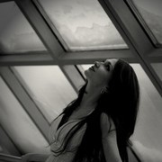 ���������� ����, ���� ������� ������, 33 ����, ������������ 