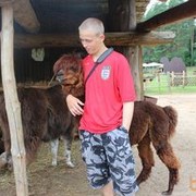 ���������� ����, ���� ������� ����, 32 ����, ������������ ��� ������