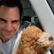 ���������� ������, ���� ������� ������, 61 ���, ������������ ��� ������, ����� � ���������, c�������� ���������, ���������