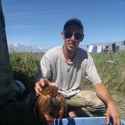 ���������� �������, ���� ������� ���������, 44 ����, ������������ ��� c�������� ���������, ���������