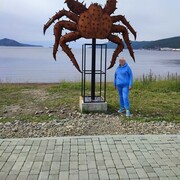  ,   , 44 ,   c , 
