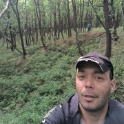  ,   , 37 ,   ,   