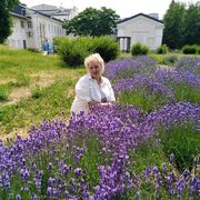 ���������� ��������, ���� ������� ������, 50 ���, ������������ ��� ����� � ���������, c�������� ���������