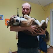 ���������� �����-���������, ���� ������� ����, 41 ���, ������������ ��� ������, ����� � ���������, c�������� ���������, ���������