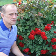  ,   , 58 ,   ,   