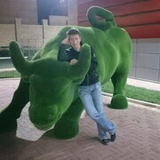 ���������� �����, ���� ������� ���������, 37 ���, ������������ ��� ������, ����� � ���������, c�������� ���������, ���������