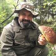 ���������� ���������, ���� ������� ������, 45 ���, ������������ ��� ����� � ���������, c�������� ���������