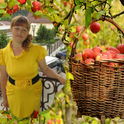  Karlshamn,   , 34 ,   