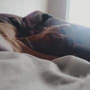 ���������� ���������, ���� ������� ����, 36 ���, ������������ ��� ������, ����� � ���������, c�������� ���������