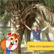  ,  , 52