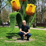 ���������� ����, ���� ������� �����, 43 ����, ������������ ��� ������, ����� � ���������, c�������� ���������