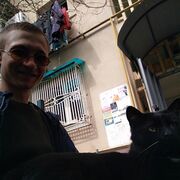 ���������� ������, ���� ������� ��� �� ���, 31 ���, ������������ ��� ������, ����� � ���������, c�������� ���������, ���������