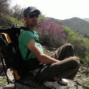 ,  zen, 43