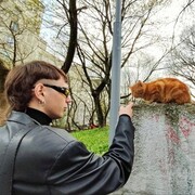 ���������� �����������, ���� ����� ����, 25 ���, ������������ ��� ������, ����� � ���������