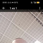 ���������� ������������, ���� ������� ������, 51 ���, ������������ ��� c�������� ���������