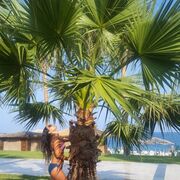  ,   , 32 ,   ,   , 