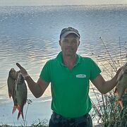 ���������� �����, ���� ������� ������, 50 ���, ������������ ��� ������, ����� � ���������