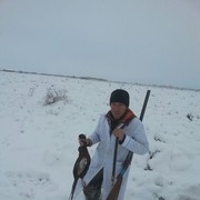  ,   Oraz, 41 ,   ,   , c 