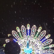 ���������� �������-����������, ������� ������, 48