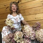 ���������� ������, ���� ������� ���, 65 ���, ������������ ��� c�������� ���������