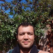 ���������� �����������, ���� ������� ������, 37 ���, ������������ ��� ������, ����� � ���������, c�������� ���������, ���������