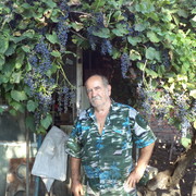  ,   , 74 ,   ,   , c 