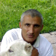 ���������� ������, ���� ������� ������, 49 ���, ������������ ��� ������, ����� � ���������, c�������� ���������