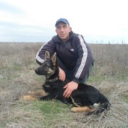 ���������� �����������, ���� ������� ������, 45 ���, ������������ ��� ����� � ���������, c�������� ���������