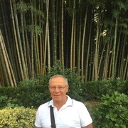 ���������� ������, ���� ������� ����, 65 ���, ������������ ��� ������, ����� � ���������