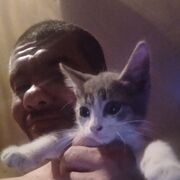  ,   , 42 ,   ,   